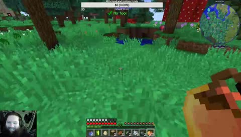 Maybe Building a House?