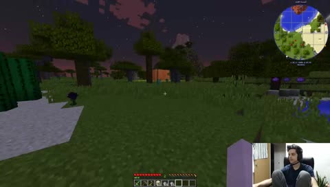 Chilling out with some modded survival