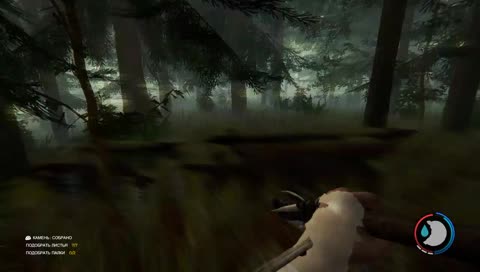 Играем в  Forest ! 