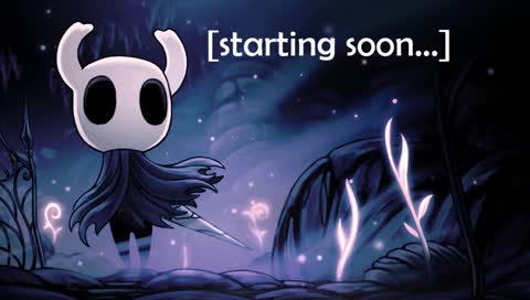[Hollow Knight: Stream Dos]