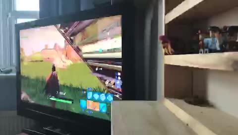 joesimpson101's mobile stream