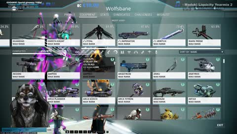 ✅ [FR] [PC][MR25]✅  [Giveaway 884/1000]✅| Giveaway 1500pl sur PC | Aide nouveaux joueurs 