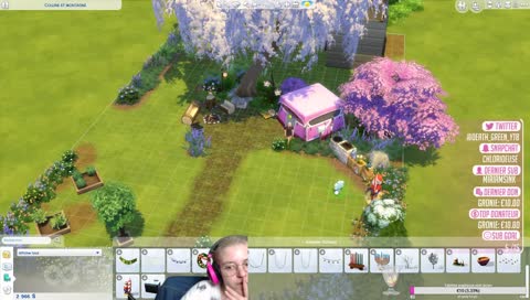 Fr/Pc Défis Amis de la Foret sans Foret