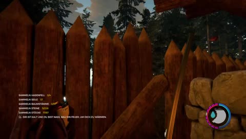 The Forest PS4 camcorder