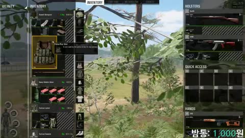 [BAMBILAND] airport 500m +48