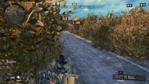 stupidity at its finest:)