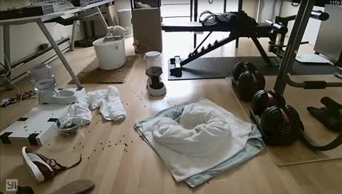 Kitten Cam -  Cuddly Cat Care Edition