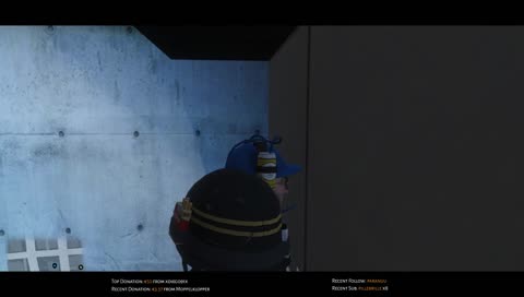 Donald Pfaffmann - Purge !? - Battle Royale meets GTA