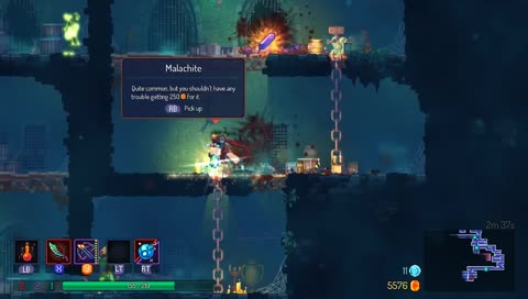 scuffed dead cells