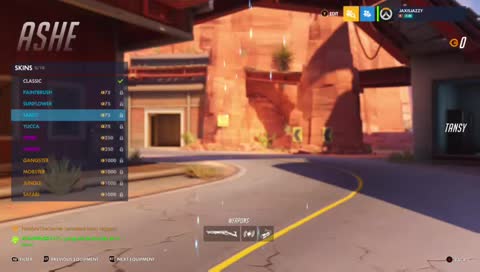 overwatch