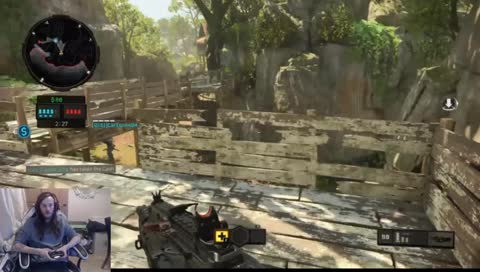 Ron Ding fighting tiger 