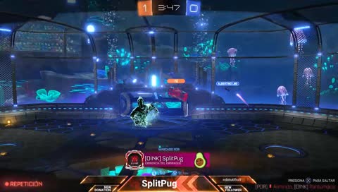 [ESP] L5OINK se va a Champion!!

