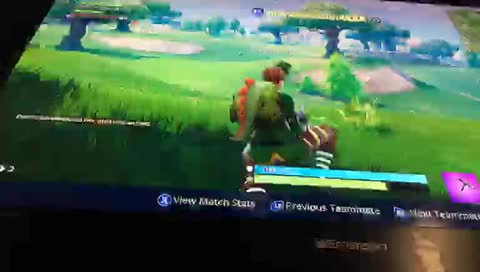 gamerboy_noob's mobile stream