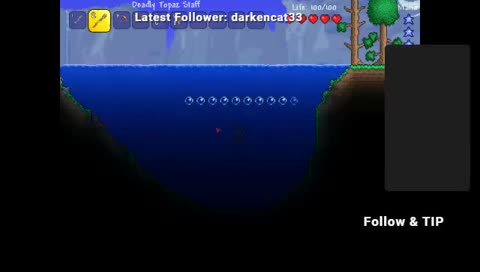 playing terraria + tip text of speech