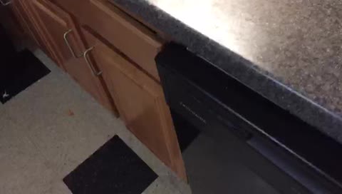 spippo_'s mobile stream