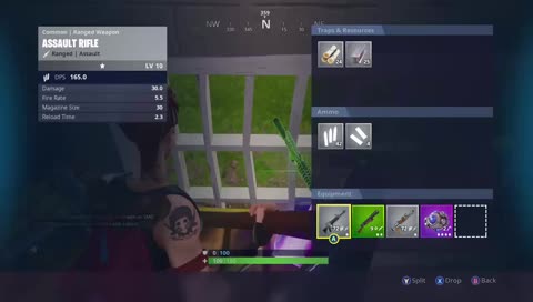 chilling with some fort