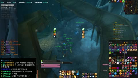 울디르 영웅 시청자팟 가즈아, 와우 wow 수양 사제 김나는