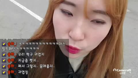 🌸 지스타 신기하다 🌸