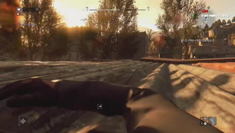 [Dying Light] - 피아짱님과 함께함