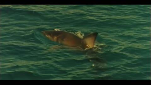 RiffTrax 💜  Watch Movies with Classic MST3K alumni: Mike Nelson, Kevin Murphy & Bill Corbett from Mystery Science Theater 3000!