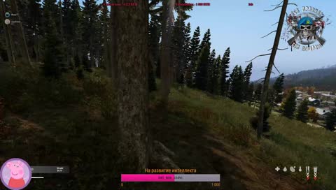  0.63 Beta! Сервер  "Без правил! Без пощады!"
Peppa здесь!