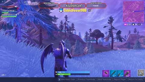Fortnite| Morning Stream (Thanksgiving Break)