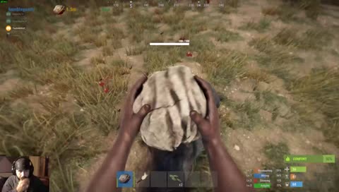 playing some rust with friends