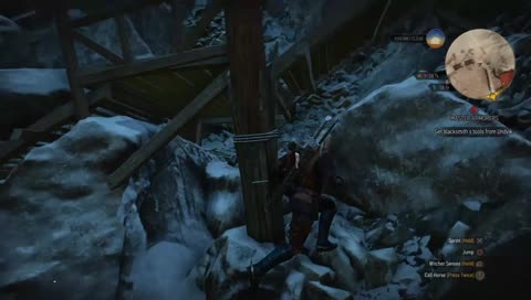 Witcher 3