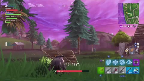 PS4/Fornite/Red Dead Redemption 2 
