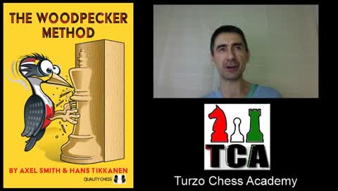 Attila Turzo plays with Viewers