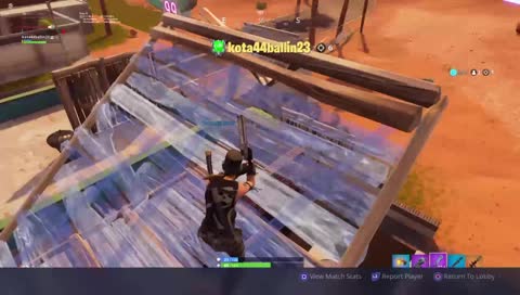 Top Tier Console Player 20% Win percentage