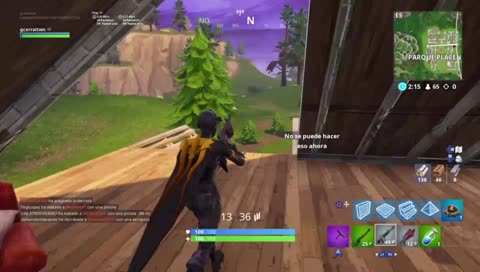 Unos Fortnites