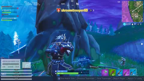 Fortnite quads