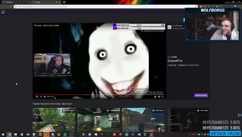 wolfborgg reacts to furryfireee