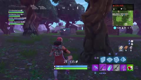 Fortnite, Gamer Girl, 200+ Wins, Ps4