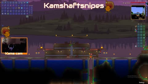 Late night terraria stream chief