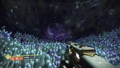 Raid on Last Wish. Wish Me Luck!