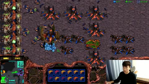 [깝도이] 스타 빨무 팀플 실시간