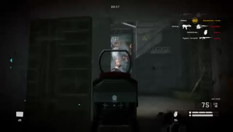bf1