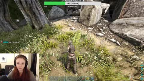 Early game, first time playing