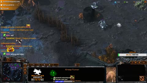 [RU\ENG] weak zerg~~
