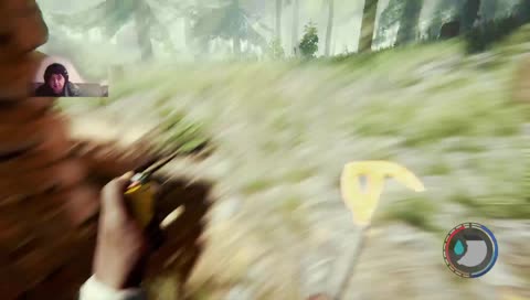 Die springenden singenden Elfen die in den Blumen wohnen versuch 4 PS4Pro 