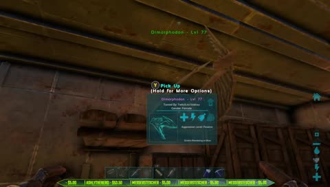 [XB/NA] Random Tribe Stuff  