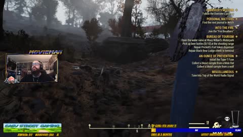 This place is kangaroo town