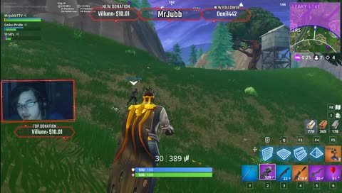 Storm Snipe