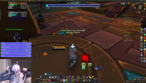 🐈 Mythic+ and chill. Kil'jaeden server.