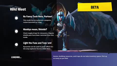 playing duo's wild west