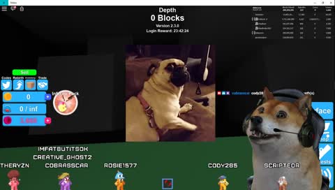 HYPE HYPE HYPE | PLAYING WITH FOLLOWERS