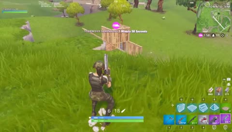 Im a bot | FORNITE|  50+ wins