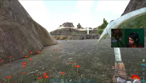 ARK y más ark !Loots !Sr Activo 